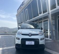 Auto - Fiat panda 1.0 firefly s&s hybrid city life