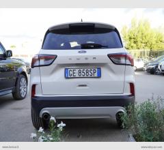 Auto - Ford kuga 1.5 ecoblue 120 cv aut. 2wd tit.bus