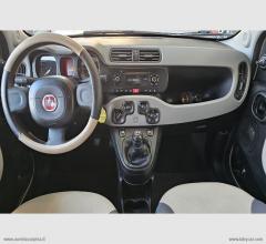 Auto - Fiat panda 1.2 easypower pop