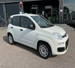 Auto - Fiat panda 1.2 easy van 4 posti