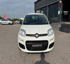 Auto - Fiat panda 1.2 easy van 4 posti