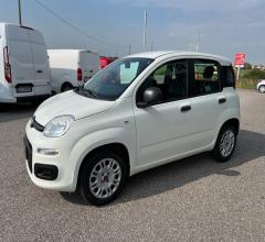 Auto - Fiat panda 1.2 easy van 4 posti