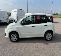 Auto - Fiat panda 1.2 easy van 4 posti