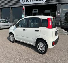 Auto - Fiat panda 1.2 easy van 4 posti