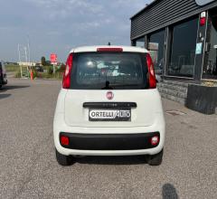 Auto - Fiat panda 1.2 easy van 4 posti