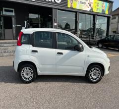 Auto - Fiat panda 1.2 easy van 4 posti