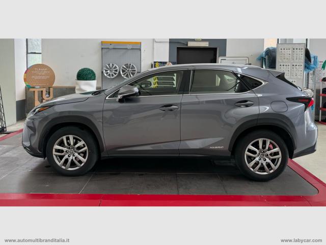 Auto - Lexus nx hybrid 4wd business