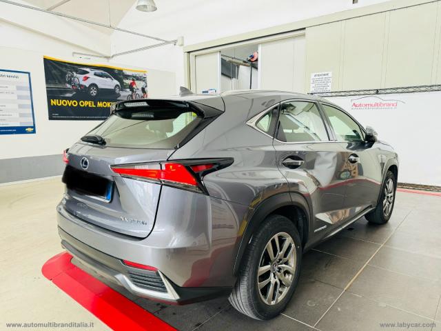 Auto - Lexus nx hybrid 4wd business