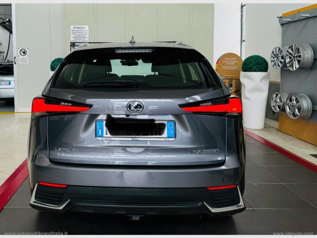 Auto - Lexus nx hybrid 4wd business