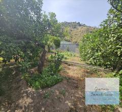 Appartamenti in Vendita - Terreno agricolo in vendita a reggio di calabria oliveto