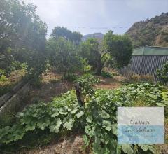 Appartamenti in Vendita - Terreno agricolo in vendita a reggio di calabria oliveto