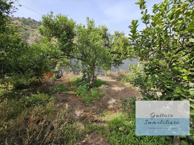 Appartamenti in Vendita - Terreno agricolo in vendita a reggio di calabria oliveto