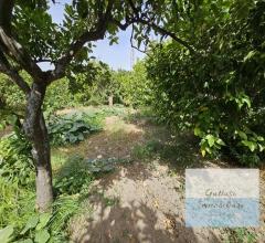 Appartamenti in Vendita - Terreno agricolo in vendita a reggio di calabria oliveto