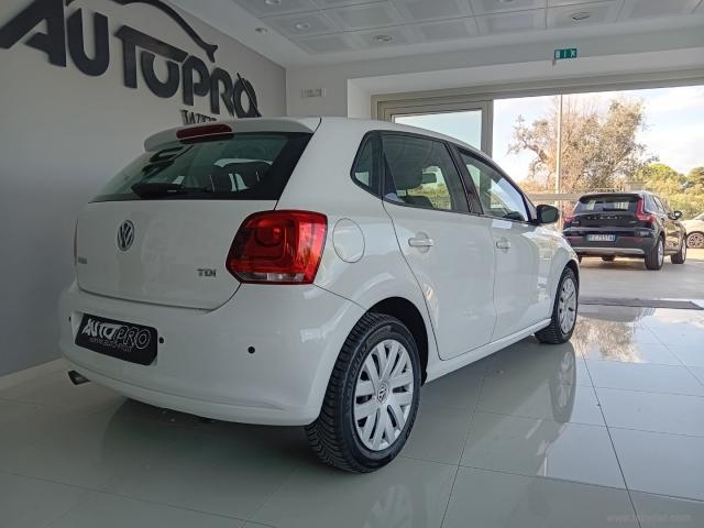 Auto - Volkswagen polo 1.6 tdi 90 cv 5p. highline