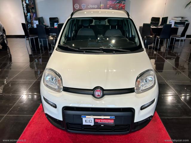 Fiat panda 1.0 firefly s&s hybrid city cross