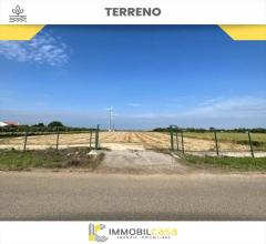 Terreno agricolo in vendita a altamura via matera