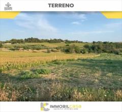 Terreno agricolo in vendita a altamura zona via gravina