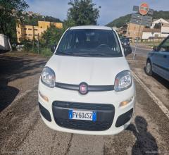 Auto - Fiat panda 1.2 easy