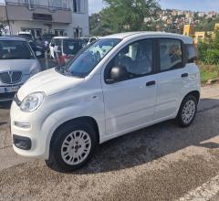 Auto - Fiat panda 1.2 easy