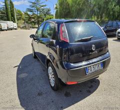 Auto - Fiat punto evo 1.3 mjt 75 cv 5p. s&s active