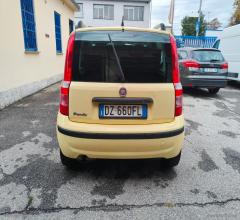 Auto - Fiat panda 1.2 dynamic gpl