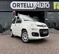 Auto - Fiat panda 1.3 mjt s&s pop van 2 posti