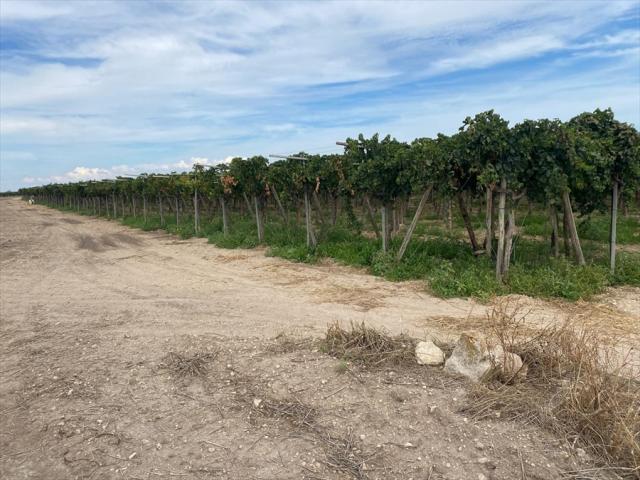 Terreno agricolo in vendita a cerignola contrada tramezzo