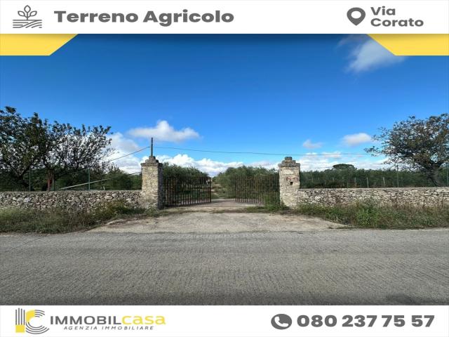 Appartamenti in Vendita - Terreno agricolo in vendita a altamura via corato