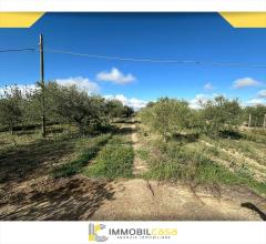 Appartamenti in Vendita - Terreno agricolo in vendita a altamura via corato