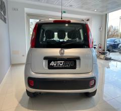 Auto - Fiat panda 1.2 easy