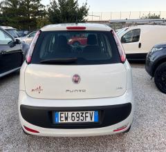 Auto - Fiat punto 1.3 mjt ii s&s 85 cv 5p.eco street