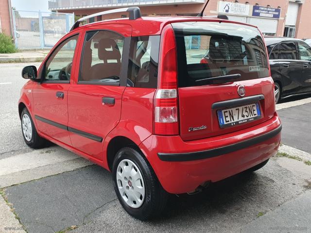 Auto - Fiat panda 1.2 dynamic 5 posti