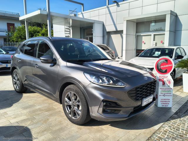 Auto - Ford kuga 1.5 ecoblue 120 cv 2wd st-line