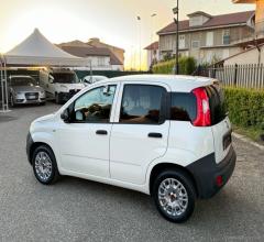 Auto - Fiat panda 1.3 mjt s&s pop van 2 posti