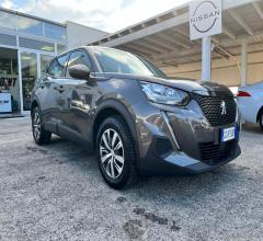 Peugeot 2008 bluehdi 110 s&s active