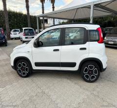 Auto - Fiat panda 1.0 firefly s&s hybrid iva inclusa