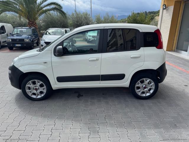 Auto - Fiat panda 1.3 mjt 4x4 pop van 2 posti