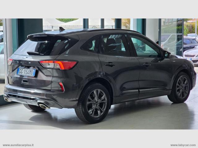 Auto - Ford kuga 1.5 ecoblue 120 cv 2wd st-line