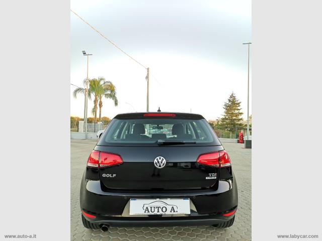 Auto - Volkswagen golf 1.6 tdi 110 cv 5p. business bmt