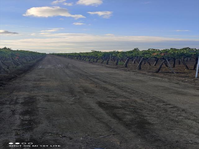 Appartamenti in Vendita - Terreno agricolo in vendita a cerignola strada  via candela