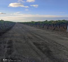 Appartamenti in Vendita - Terreno agricolo in vendita a cerignola strada  via candela