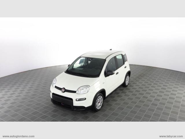 Auto - Fiat panda 1.0 firefly s&s hybrid