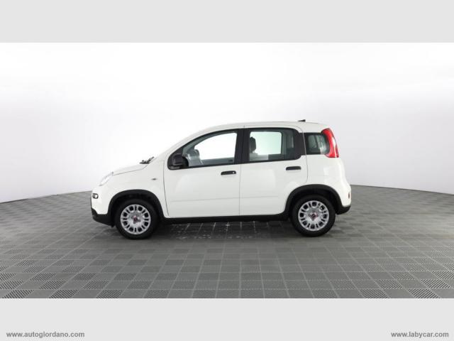 Auto - Fiat panda 1.0 firefly s&s hybrid