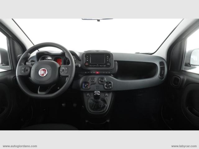 Auto - Fiat panda 1.0 firefly s&s hybrid