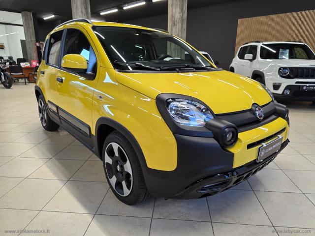 Auto - Fiat panda 1.0 firefly s&s hybrid pandina