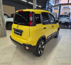 Auto - Fiat panda 1.0 firefly s&s hybrid pandina