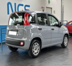 Auto - Fiat panda 1.0 firefly s&s hybrid