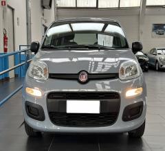 Auto - Fiat panda 1.0 firefly s&s hybrid