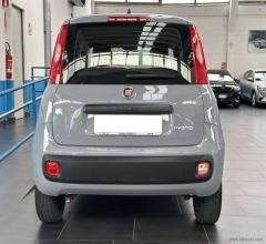 Auto - Fiat panda 1.0 firefly s&s hybrid