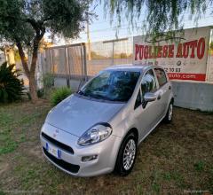 Fiat punto 1.2 8v 5p. street